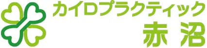 カイロプラクティック禁止の理由と安全に利用するための必須知識ガイド
